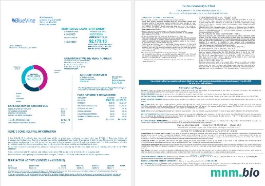 USA California BlueVine Bank wyciąg z kredytu hipotecznego w formatach Word i PDF, 4 strony 1-2